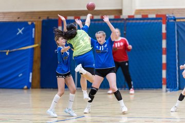 Bild 104 - wBJ TSV Ellerau - HSG Stoertal Hummeln : Ergebnis: 26:19